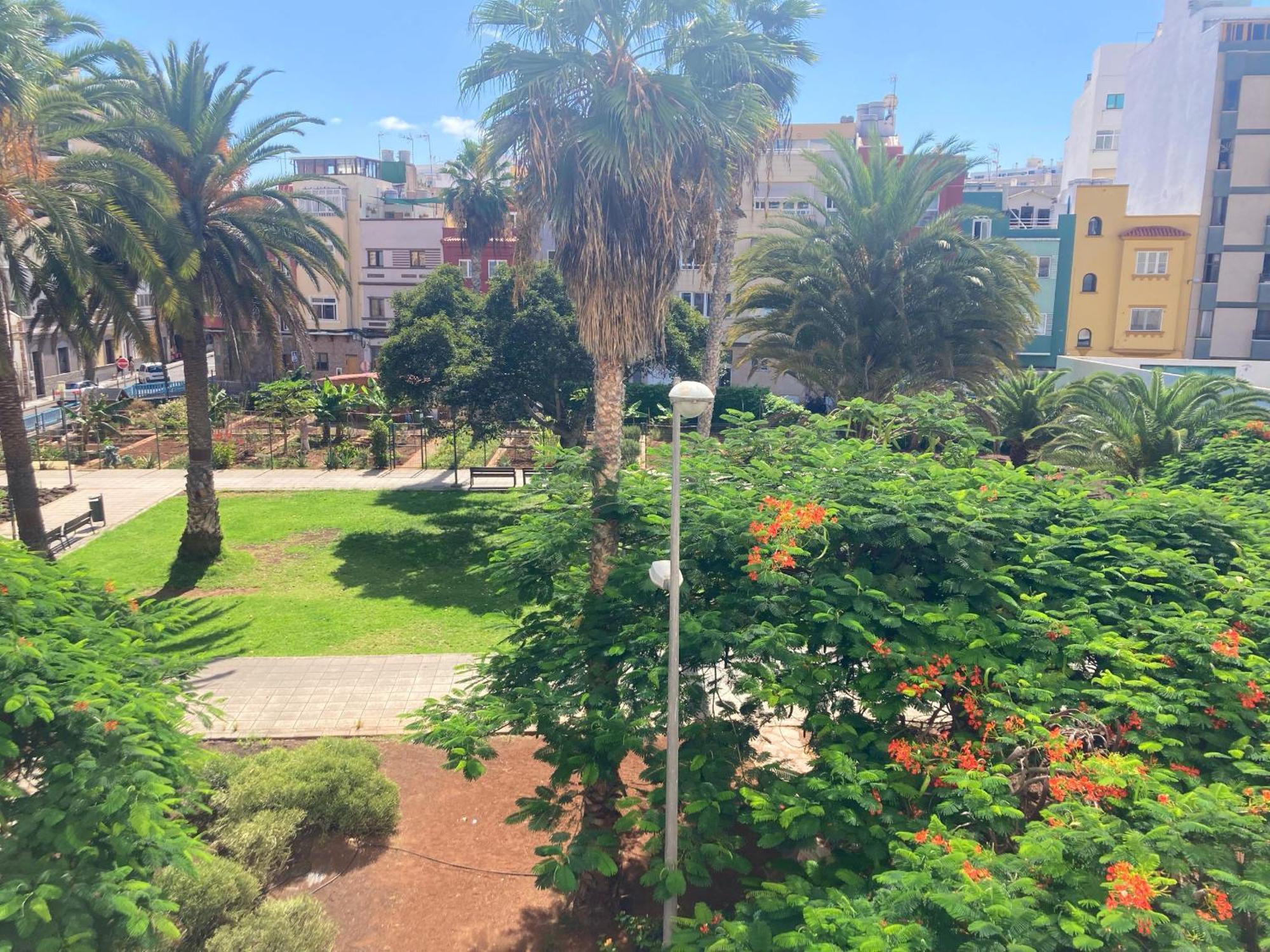 Farray Beach Flat III By Canary365 Las Palmas de Gran Canaria Zewnętrze zdjęcie